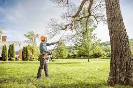 Best Storm Damage Tree Cleanup  in Charlestown, MD